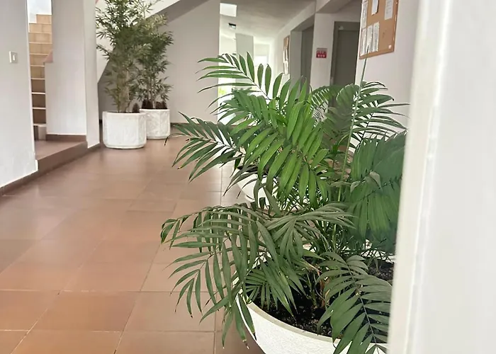 شقة Panoramic Sea View لوس كريستيانوس